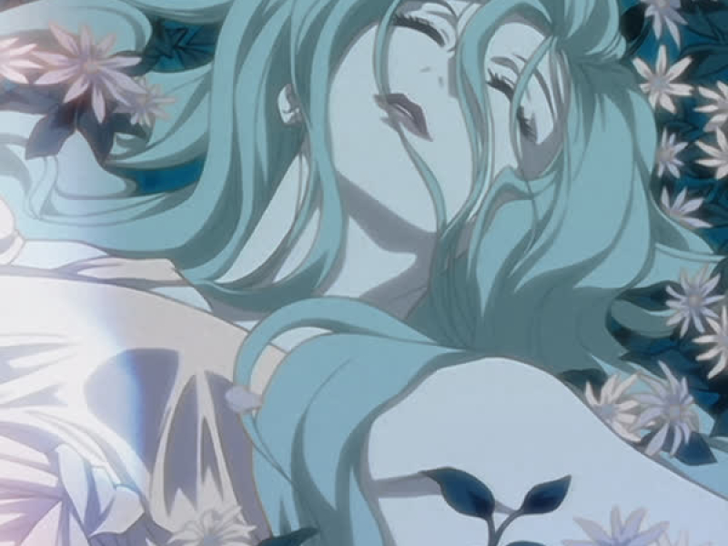 butterfly kisses (Single)