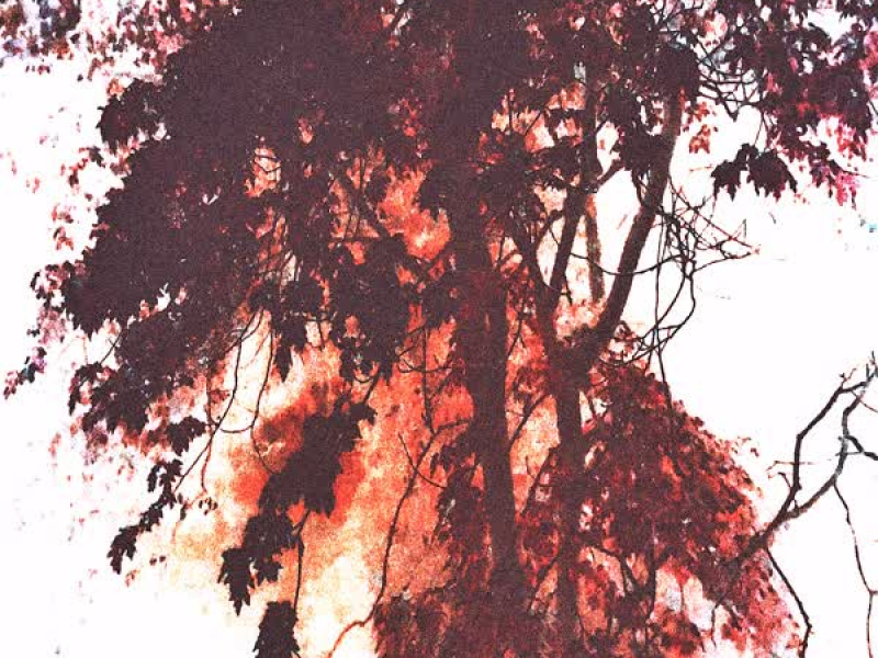 Kiss In October (Single)