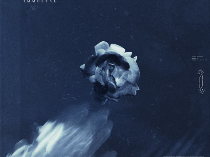 Immortal (Single)