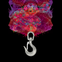 Una canzone tumore (Single)