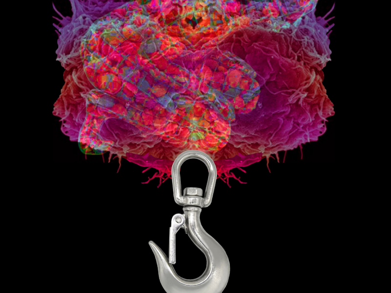 Una canzone tumore (Single)