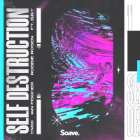 Self Destruction (Single)
