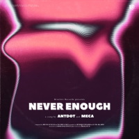 Never Enough (Single)