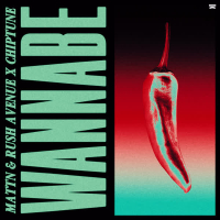 Wannabe (Single)
