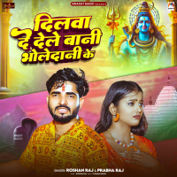 Dilwa De Dele Bani Bholedani Ke (Single)