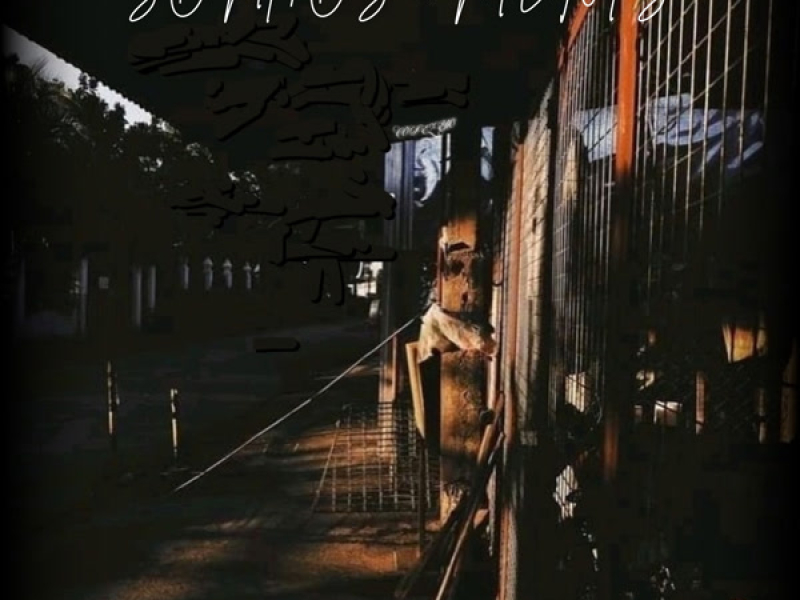 Sonhos & Metas (Single)