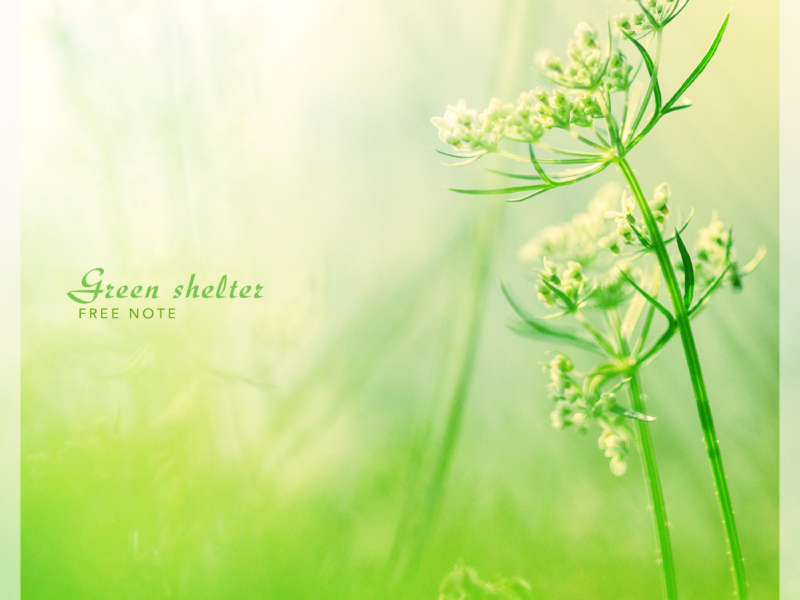 Green shelter (Single)