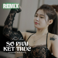 Sợ Phải Kết Thúc (Remix) (Single)