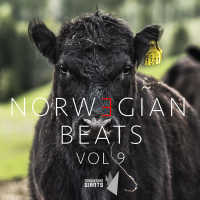 Norwegian Beats, Vol. 9