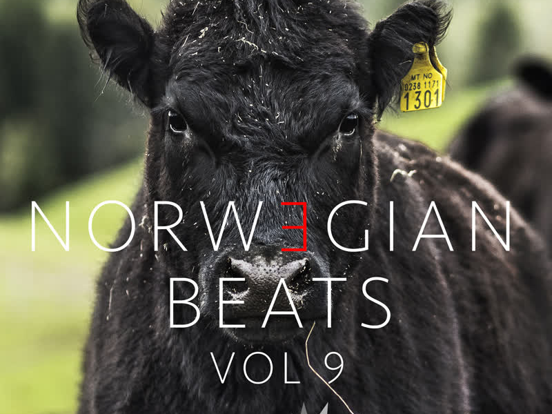 Norwegian Beats, Vol. 9