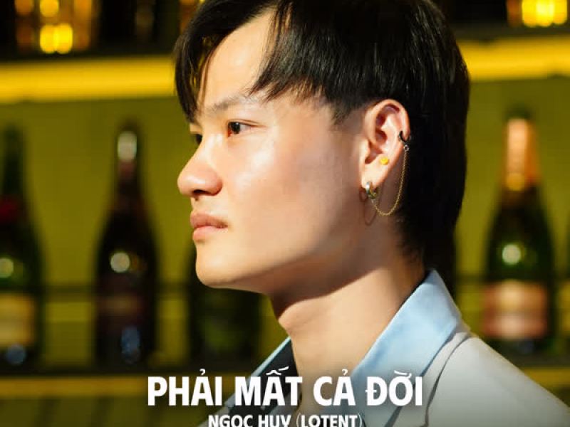 Phải Mất Cả Đời (Huy PT Remix) (Single)