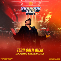 TERII GALII MEIN (DJ Akhil Talreja Mix) (Single)