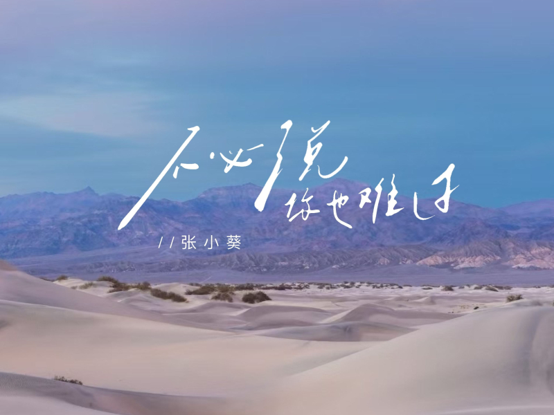 不必说你也难过 (Single)