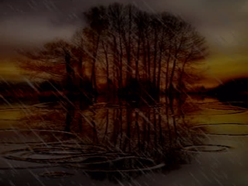 Raining in Ｖｅｎｉｃｅ