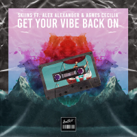 Get Your Vibe Back On (Single)