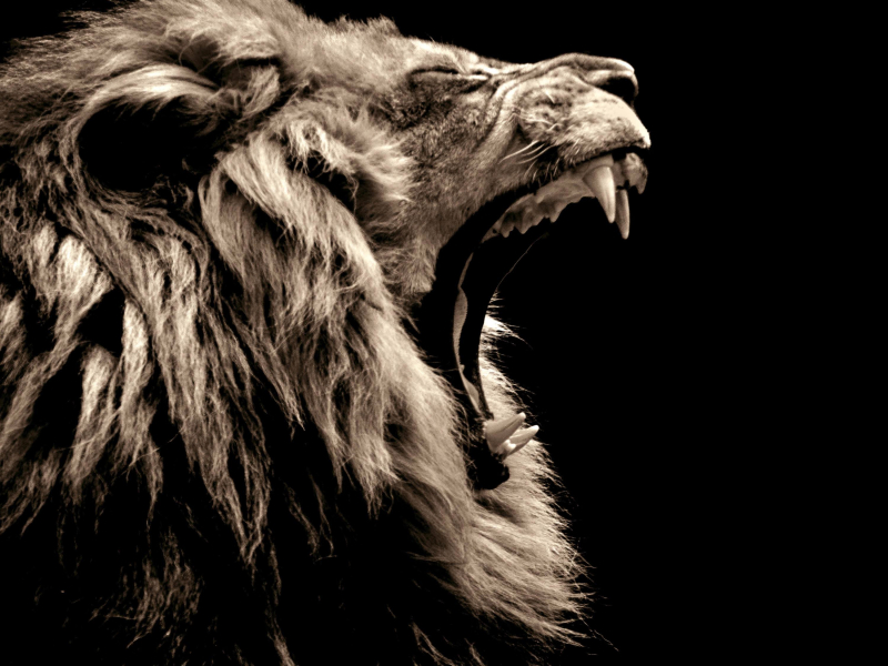 Predator (feat. Alex Holmes) (Single)