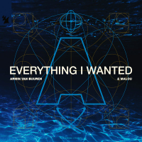 Everything I Wanted (Single)