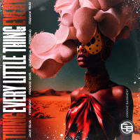 Every Little Thing (Single)