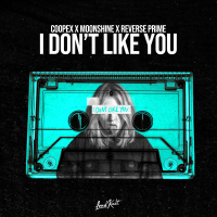 I Don't Like You (Single)