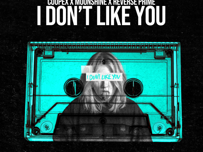 I Don't Like You (Single)