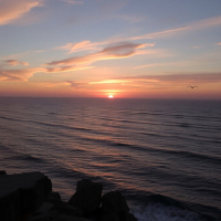 Just give me a reason (Single)