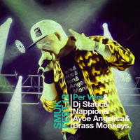 Live @ Smukfest 2012