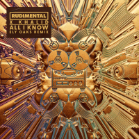 All I Know (Ely Oaks Remix) (Single)