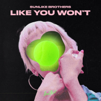 Like You Won't (Single)