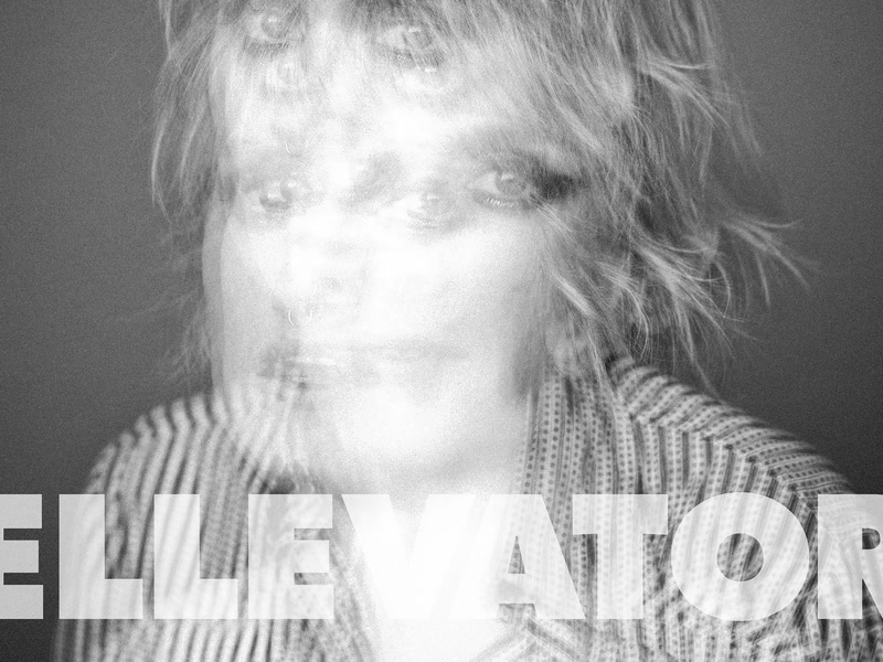 New Survival (Single)