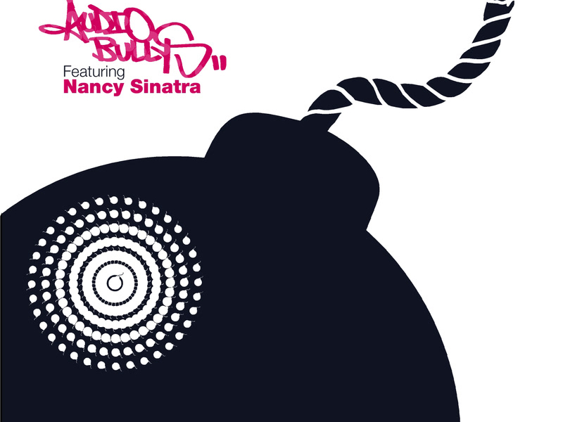 Shot You Down (Single)