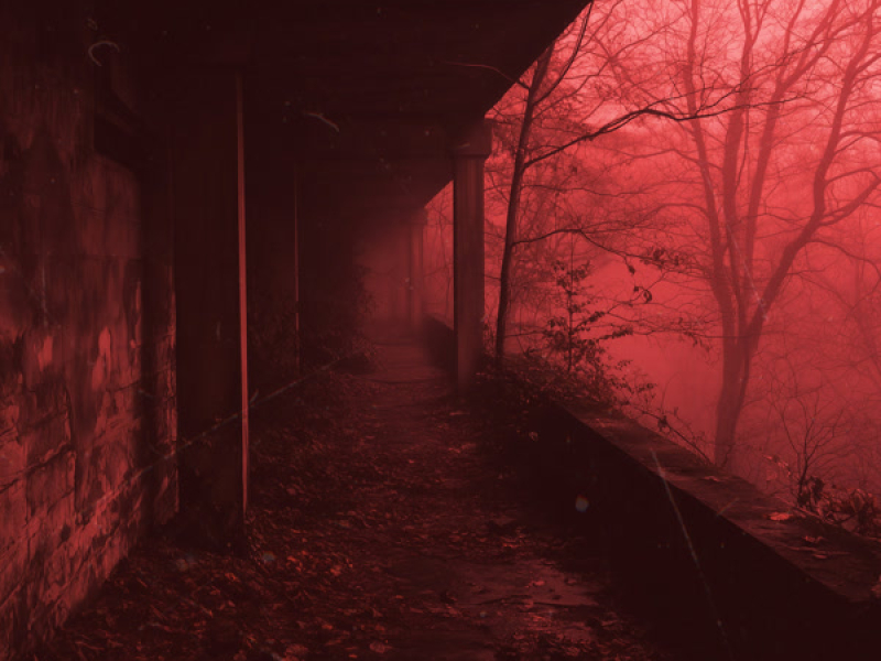 your love is my drug (ambient) (Single)