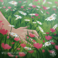 Touching Grass (Single)