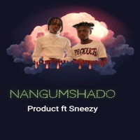 NangUmshado (feat. Sneezy) (Single)