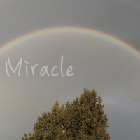 Miracle (Single)