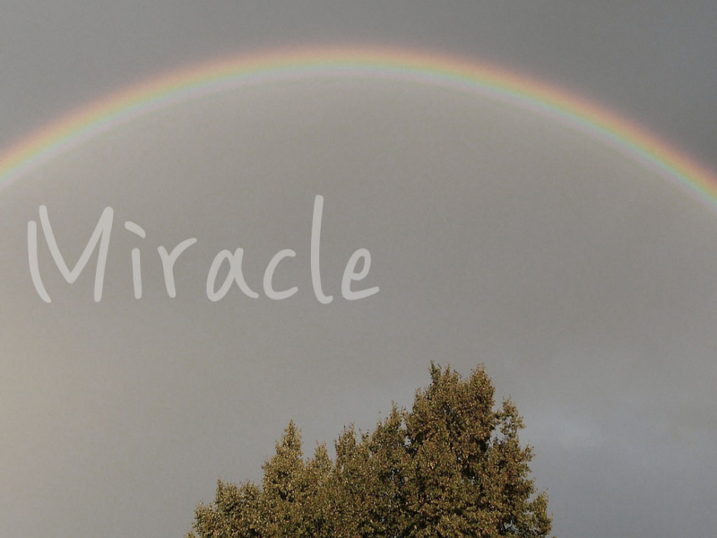 Miracle (Single)