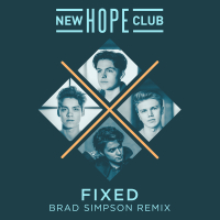 Fixed (Brad Simpson Remix) (Single)