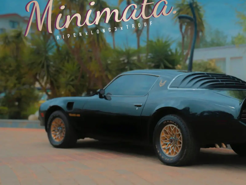 Minimata (Single)