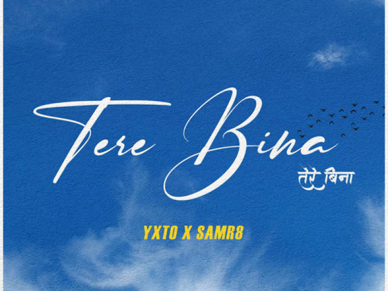 Tere Bina (Single)