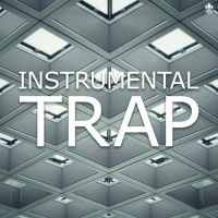 Instrumental Trap (Single)