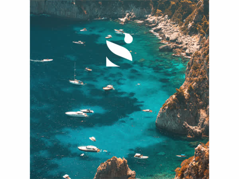 Without You (Single)