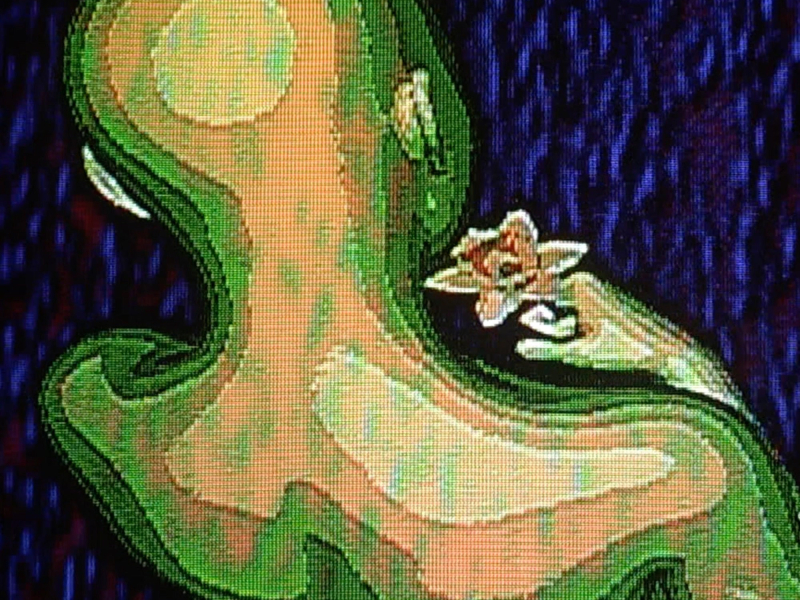 Summer Rain (Single)