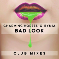 Bad Look (Club Mixes) (EP)