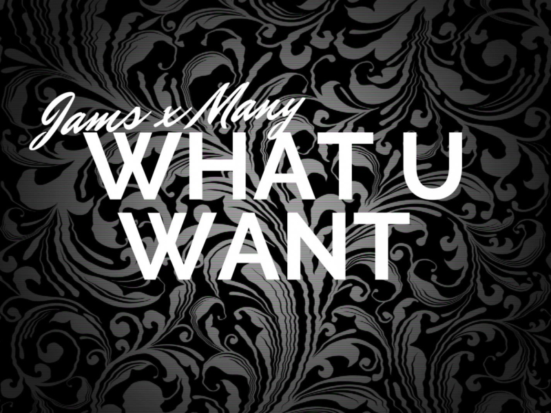 What U Want (with MANY) (Single)