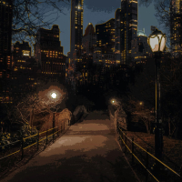 Follow Me, THIS WAY (Single)