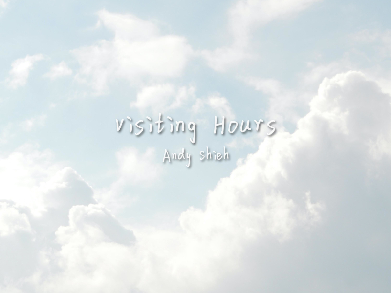 Visiting Hours (Single)