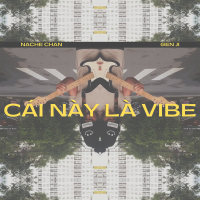 CÁI NÀY LÀ VIBE (Single)