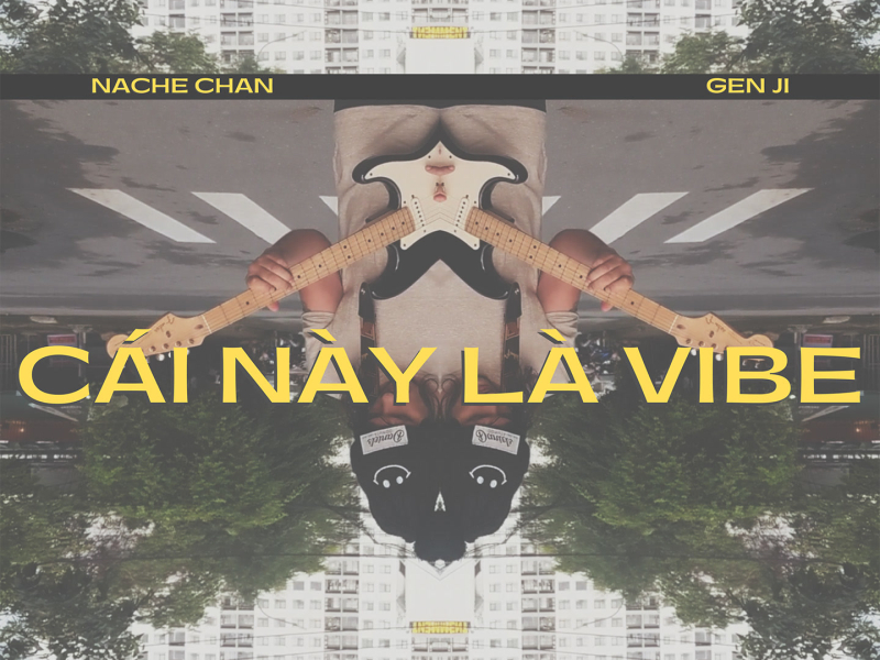 CÁI NÀY LÀ VIBE (Single)