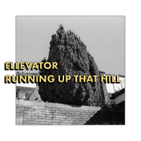 Running Up That Hill (Single)