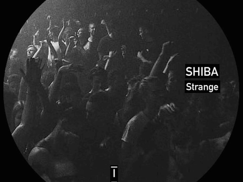 Strange (Single)