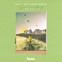 Say Something (Single)